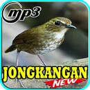 Kicau Burung Jongkangan Top Mp3 APK