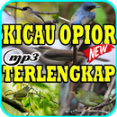 Kicau Burung Opior Terlengkap Mp3 APK