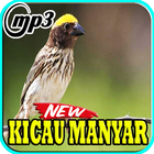 Kicau Burung Manyar Top Mp3 biểu tượng