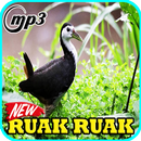 Suara Burung Ruak Ruak Pemikat Mp3 APK