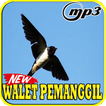 Suara Burung Walet Pemanggil Mp3