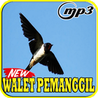Suara Burung Walet Pemanggil biểu tượng