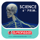 El-Moasser The Nervous System 6-Prim APK