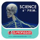 El-Moasser The Nervous System 6-Prim आइकन
