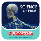 El-Moasser The Nervous System 6-Prim Zeichen