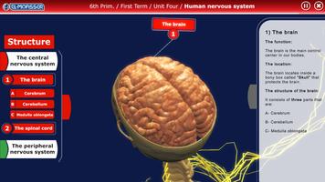 El-Moasser The Nervous System 6-Prim capture d'écran 1