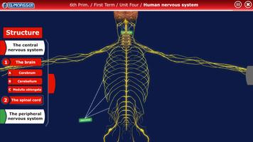 El-Moasser The Nervous System 6-Prim स्क्रीनशॉट 2