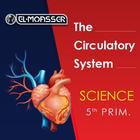 El-Moasser Circulatory System Zeichen