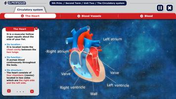 El-Moasser Circulatory System تصوير الشاشة 1