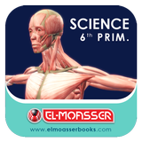 El-Moasser The locomotory System 6-Prim Zeichen