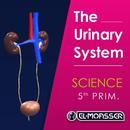 El-Moasser Urinary System APK