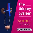 El-Moasser Urinary System icon