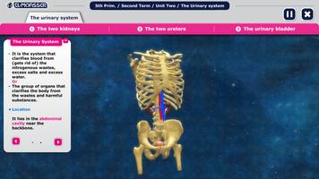 El-Moasser Urinary System capture d'écran 1