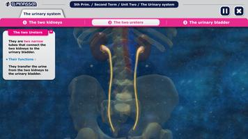 El-Moasser Urinary System स्क्रीनशॉट 2