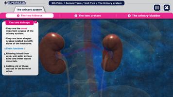 El-Moasser Urinary System capture d'écran 3