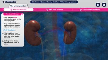 El-Moasser Urinary System スクリーンショット 3