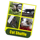 Cat Shuffle icône