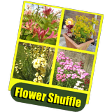 Flower Shuffle icono