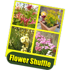 Flower Shuffle icône