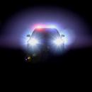 Police Duty APK