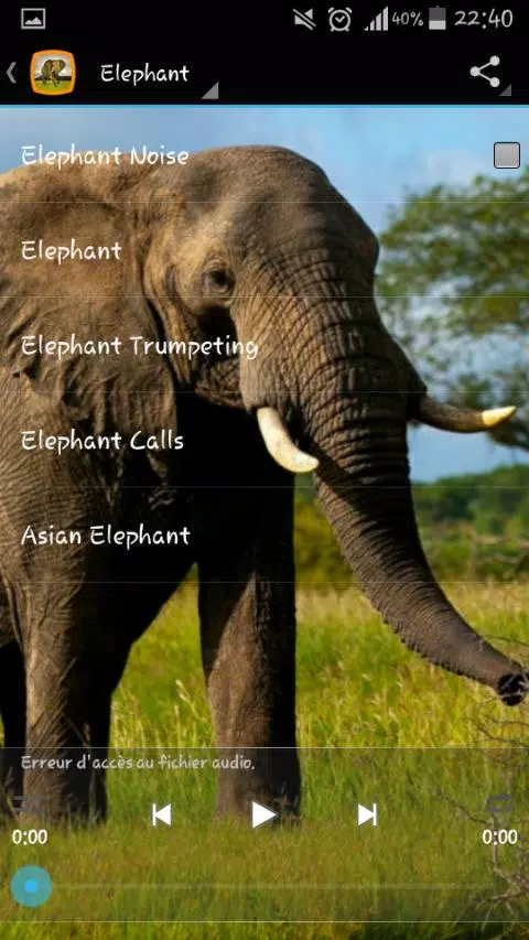 Elephant Sounds APK for Android Download