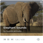 Elephant Sounds icon