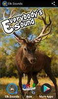 Elk Sounds Affiche