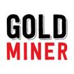 Gold Miner (Winter Edition)