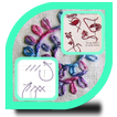 Embroidery Stitch Tutorial