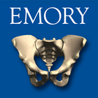 Anatomy of the Male Pelvis 图标