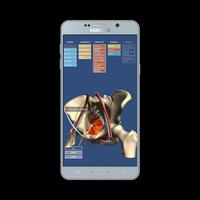 Anatomy of the Male Pelvis screenshot 1