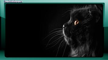 3 Schermata Black Cats Wallpaper