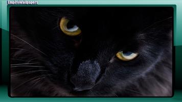 1 Schermata Black Cats Wallpaper