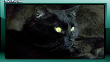 Black Cats Wallpaper capture d'écran 2