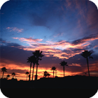 California Live Wallpaper أيقونة