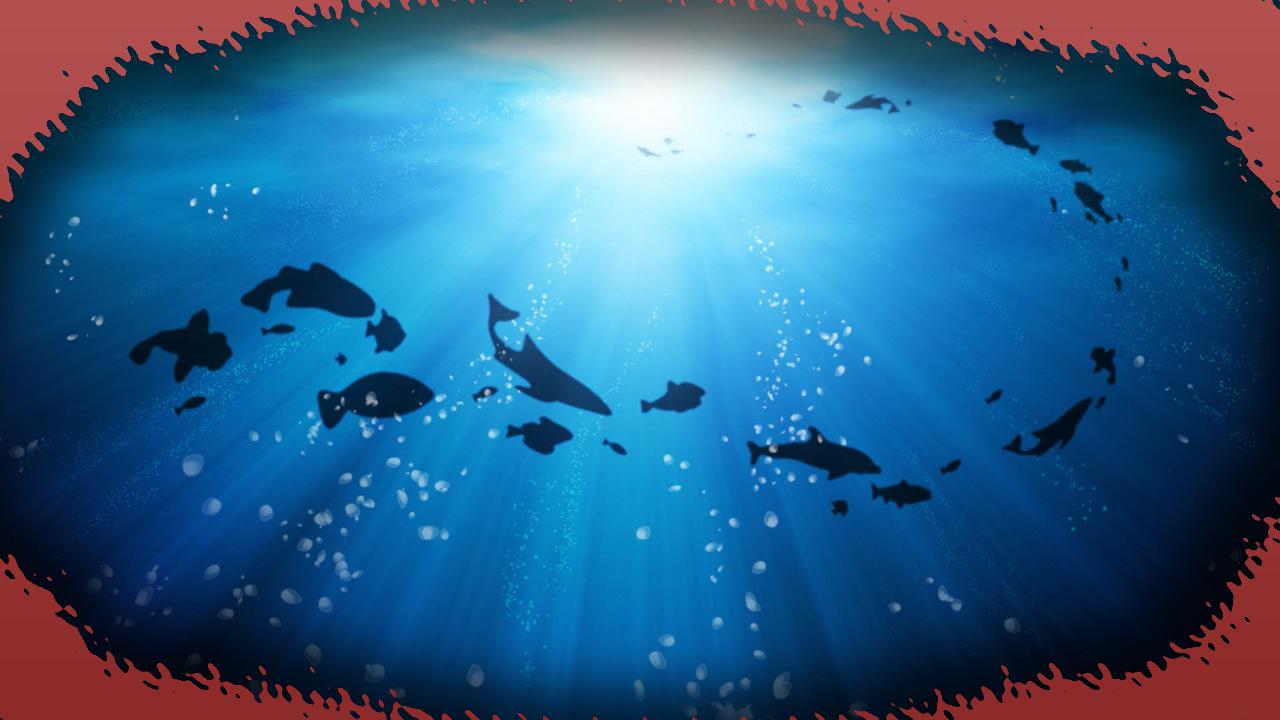Deep Sea Wallpaper For Android Apk Deep Sea Wallpaper Poster