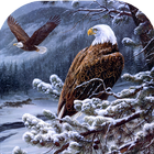 Eagle Wallpaper ikon
