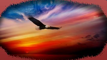 Eagle Wallpaper 截图 1