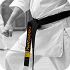Karate Wallpaper иконка