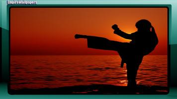 Karate Wallpaper capture d'écran 3