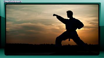 Karate Wallpaper स्क्रीनशॉट 2