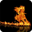 Horse Fire Pack 2 Wallpaper APK