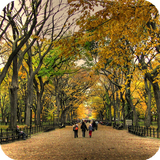 Central Park NY Live Wallpaper icône