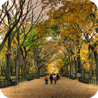 Central Park NY Live Wallpaper icon