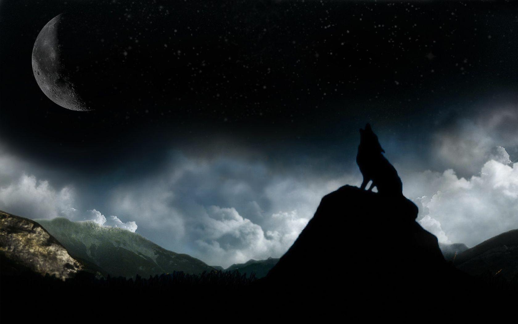 Волк выходит ночью