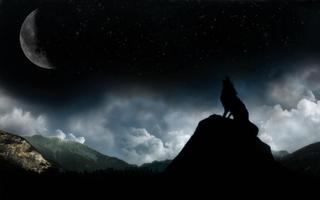 1 Schermata Wolf Moon Live Wallpaper