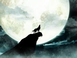 2 Schermata Wolf Moon Live Wallpaper