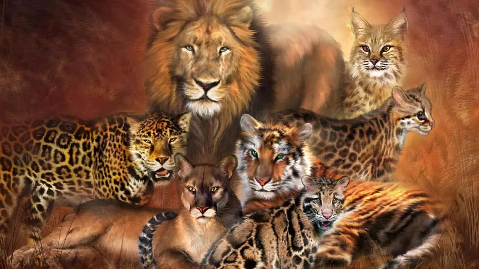 Tiger Versus Lion Wallpaper APK for Android Download
