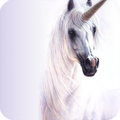 Unicorn Wallpaper