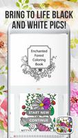 Enchanted Forest Coloring Book Affiche